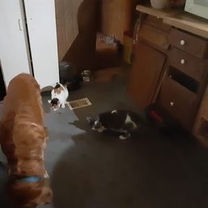 Meet your Posher, Lori